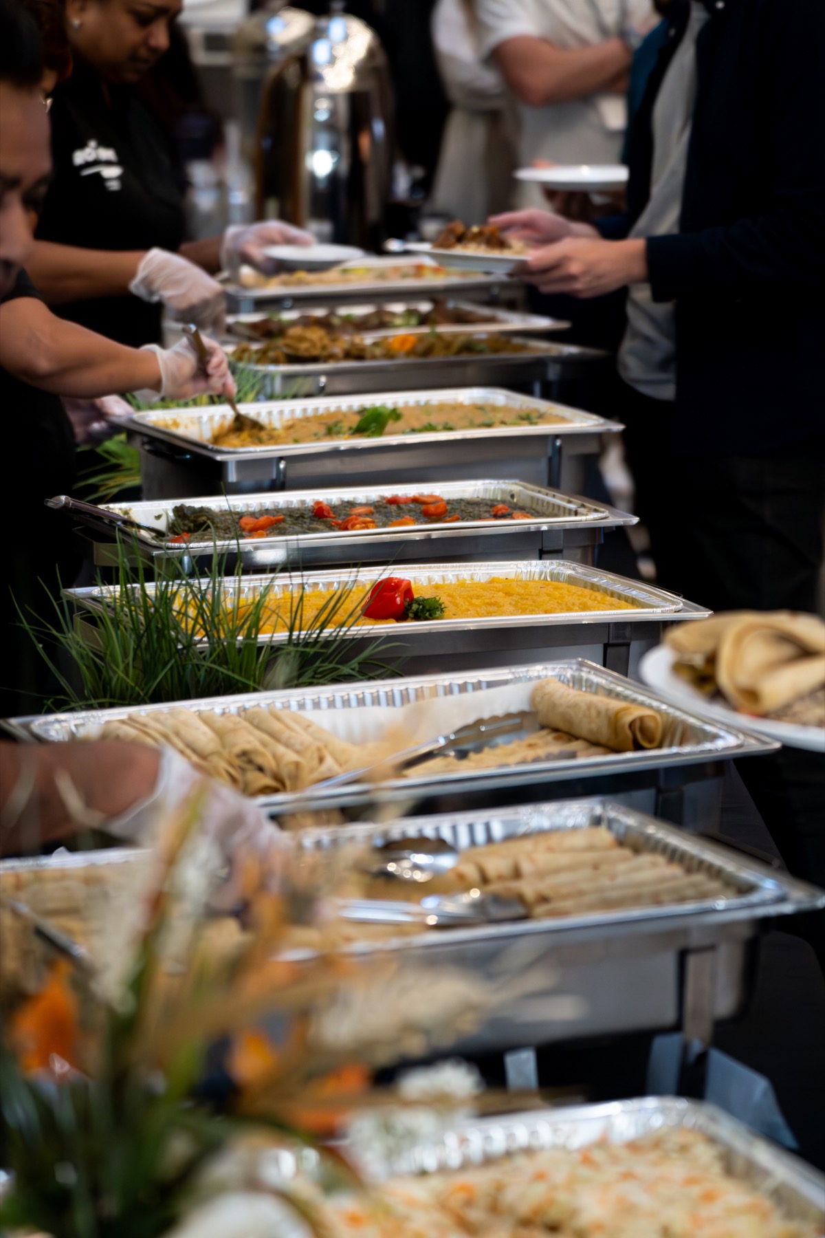 A full catering buffet with trays of Caribbean food